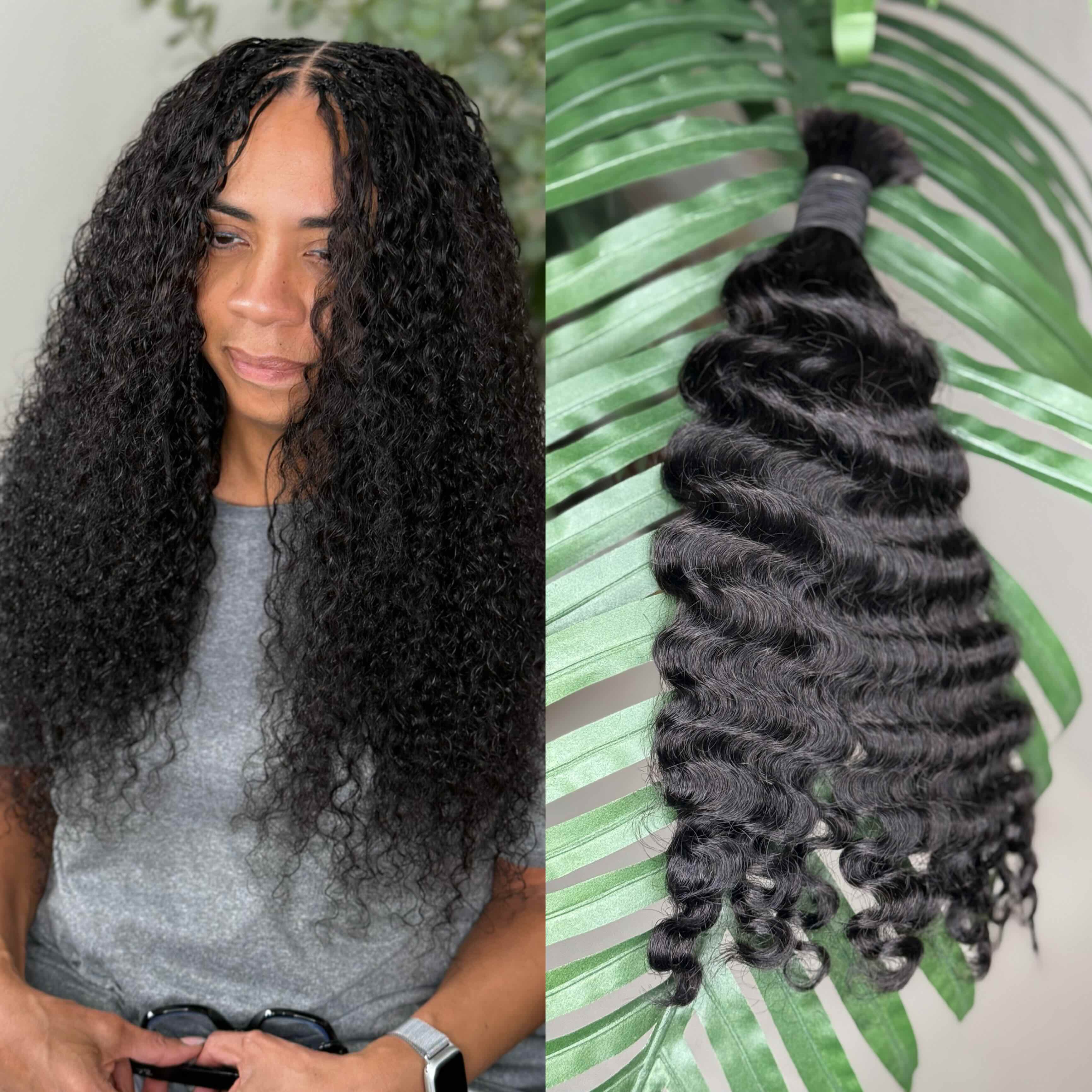 Burmese Curly