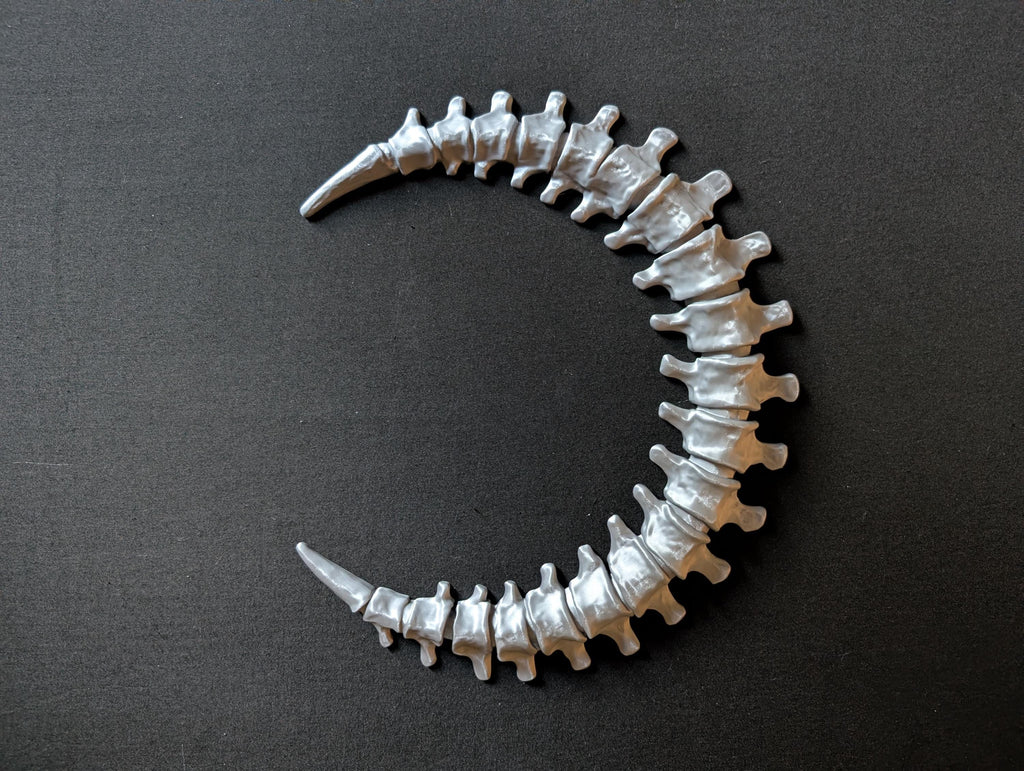 Gothic Anatomy Spine Wall Sculpture - Customizable Elegant Weird Bone Structure