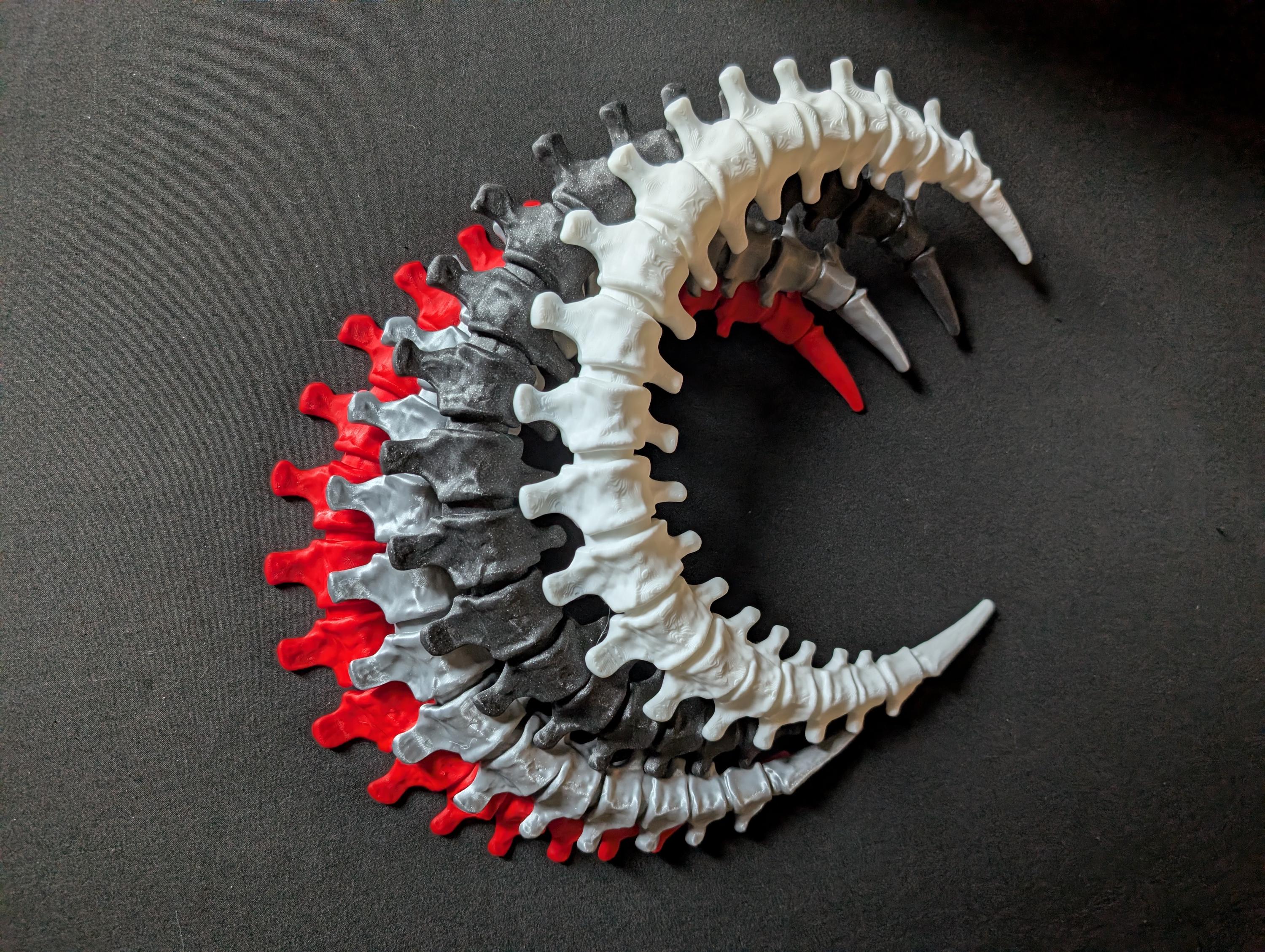 Gothic Anatomy Spine Wall Sculpture - Customizable Elegant Weird Bone Structure